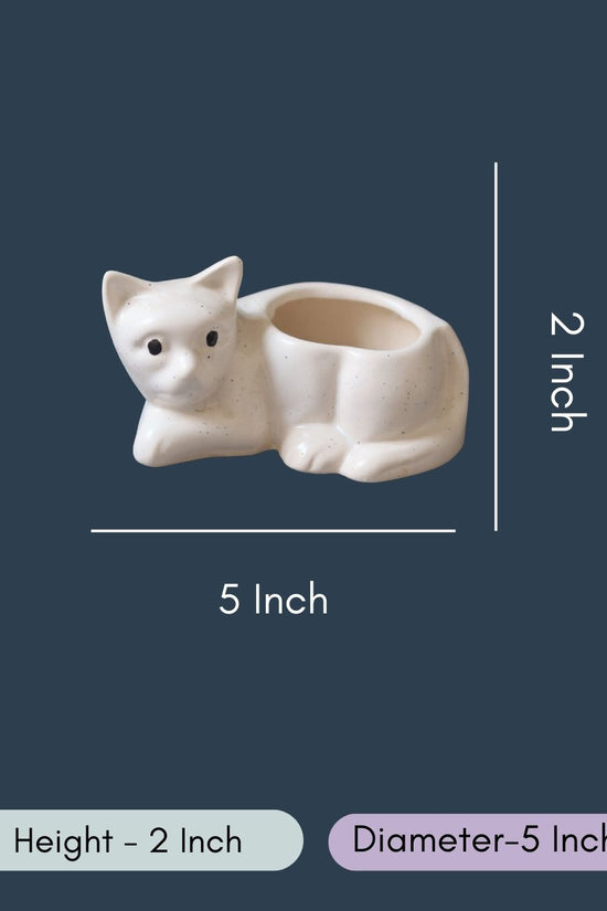Cat Succulent Planter
