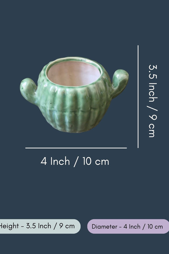 Cactus Planter