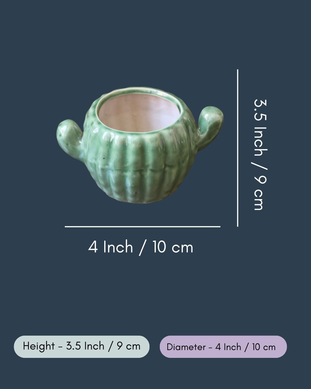 Cactus Planter