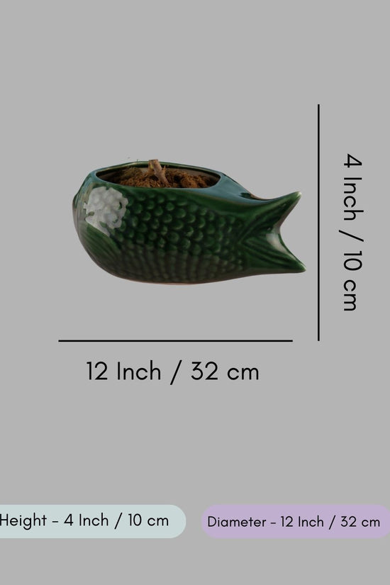 Green Catfish Planter