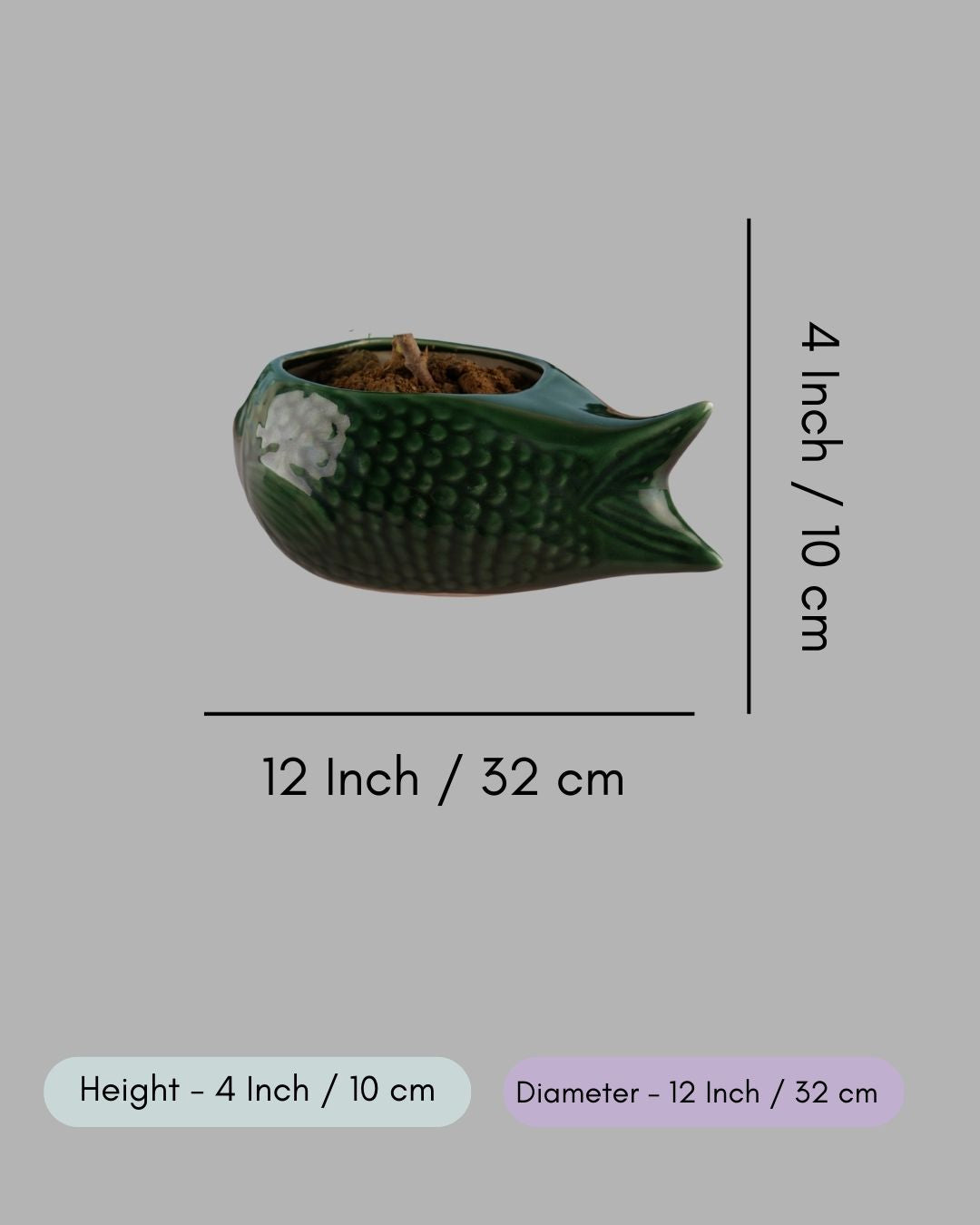 Green Catfish Planter
