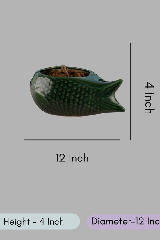 Green Catfish Planter