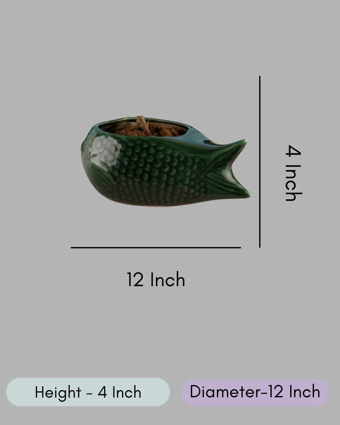 Green Catfish Planter