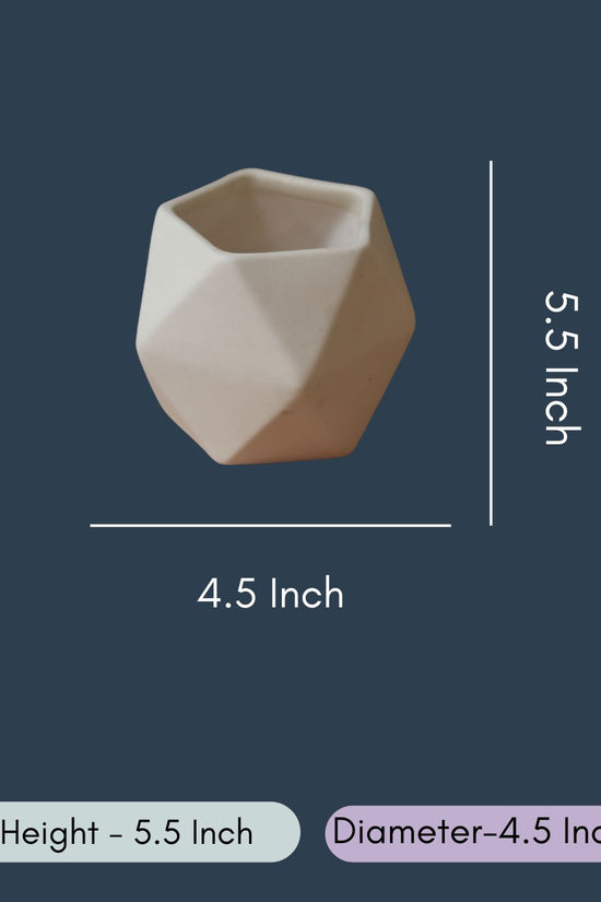White Hexagon Planter
