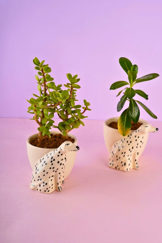 dog planter handmade in india 
