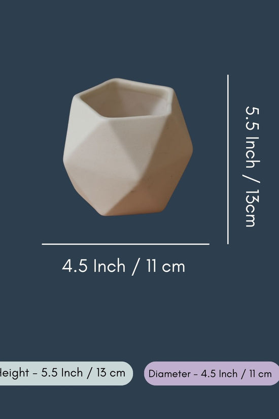 White Hexagon Planter