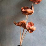 Dried Botanical Brown Bunch handmade By natural Flower