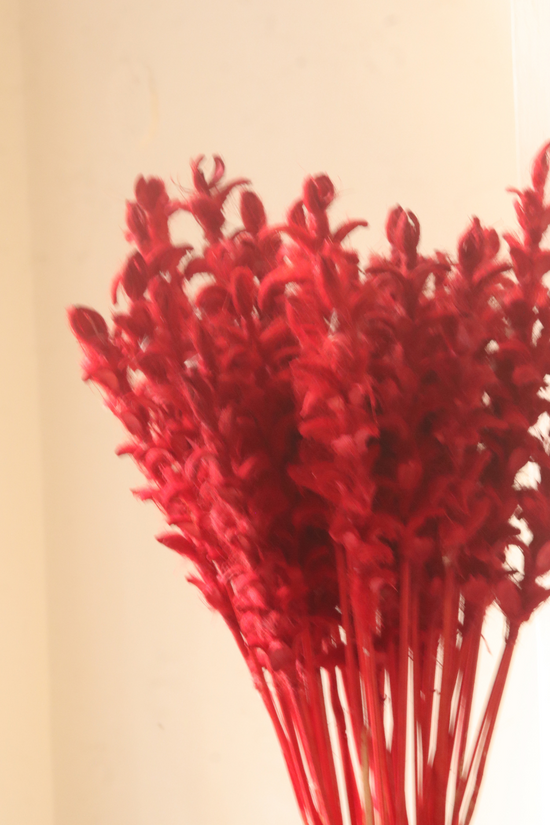 Dried red ginger flower bouquet