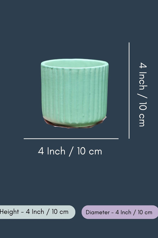 Small Green Lined Planter