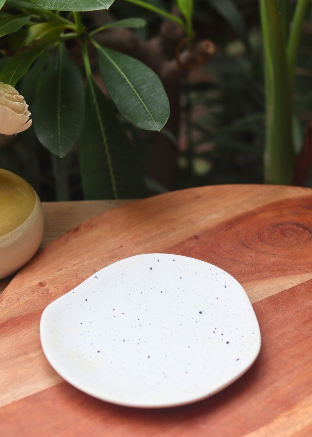 misfit plate with classy white color