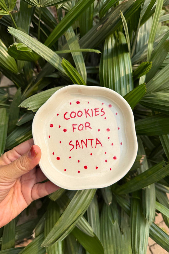 Cookies for Santa Dessert Plate with premium quality material