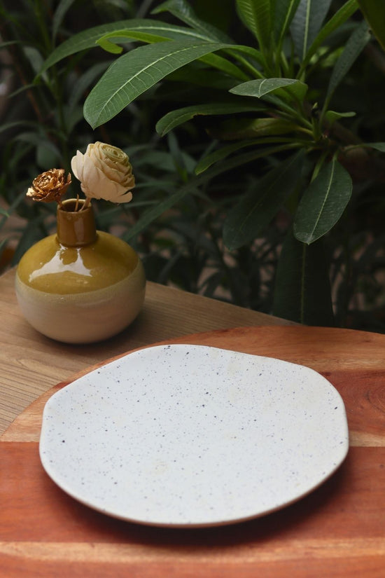 misfit dessert plate made by ceramic 