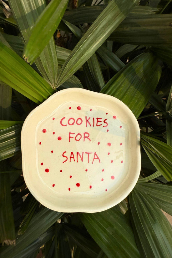 Cookies for Santa Dessert Plate handmade in India