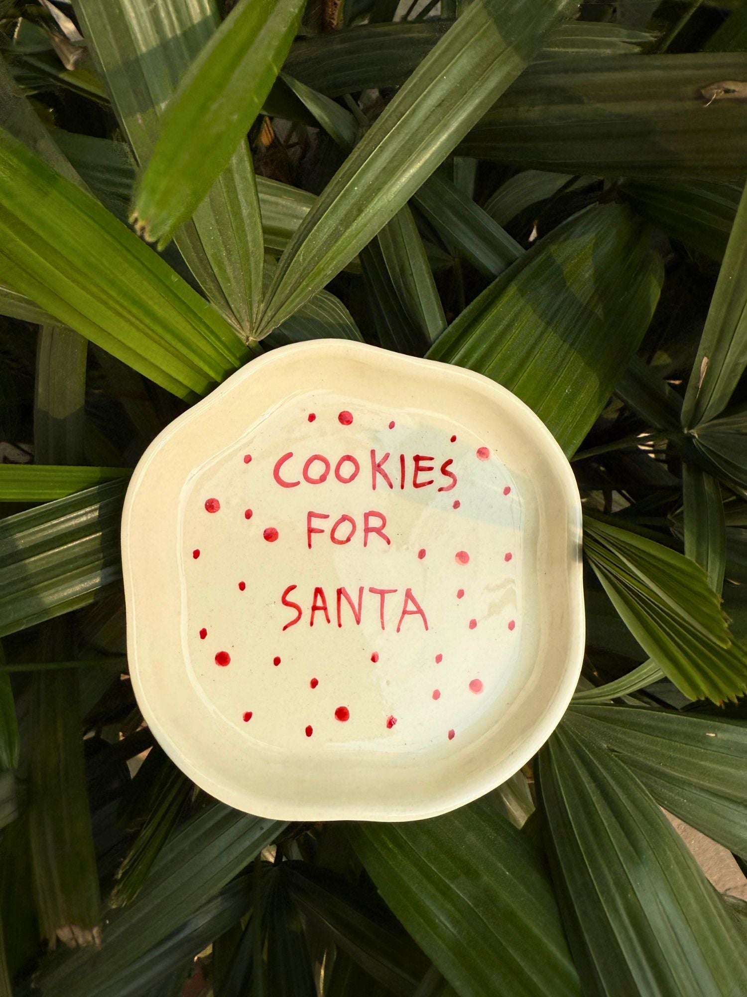 Cookies for Santa Dessert Plate handmade in India