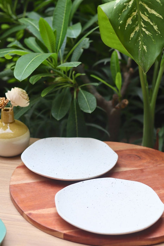 misfit dessert plate with white color