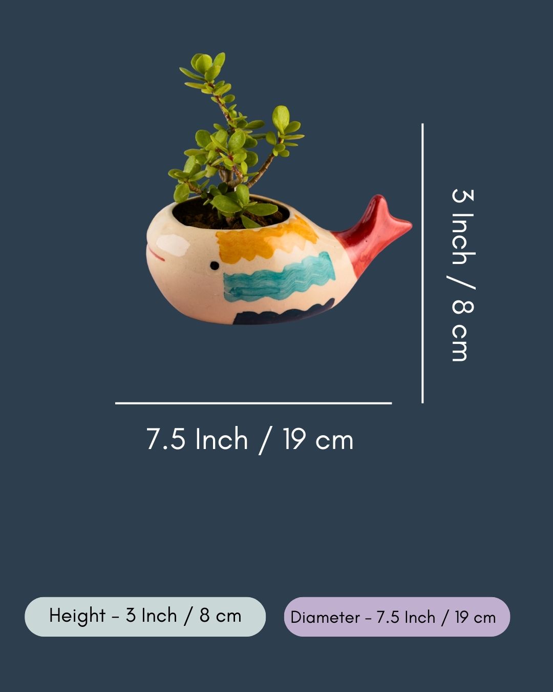 Nemo Fish Planter