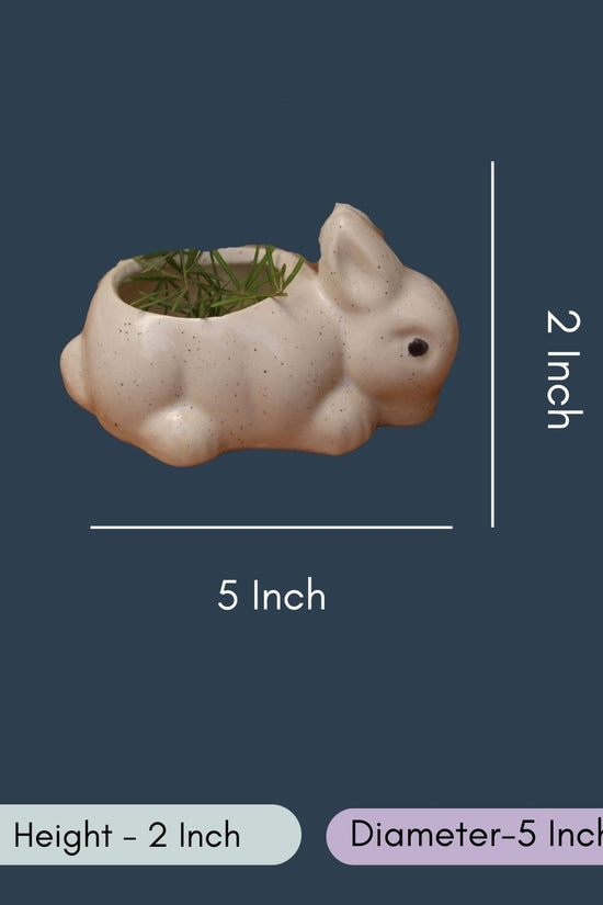 Rabbit Planter