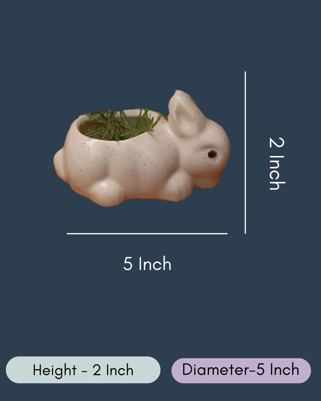 Rabbit Planter