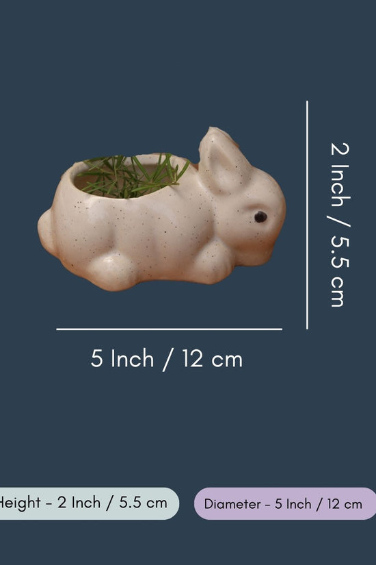 Rabbit Planter