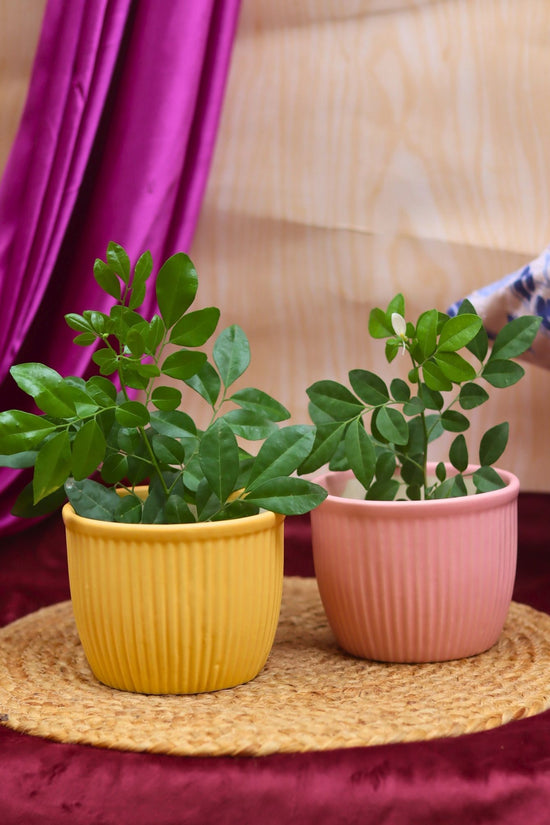 Set of 2 - Mellow Pink & Sunshine Yellow Planters combo handmade in india