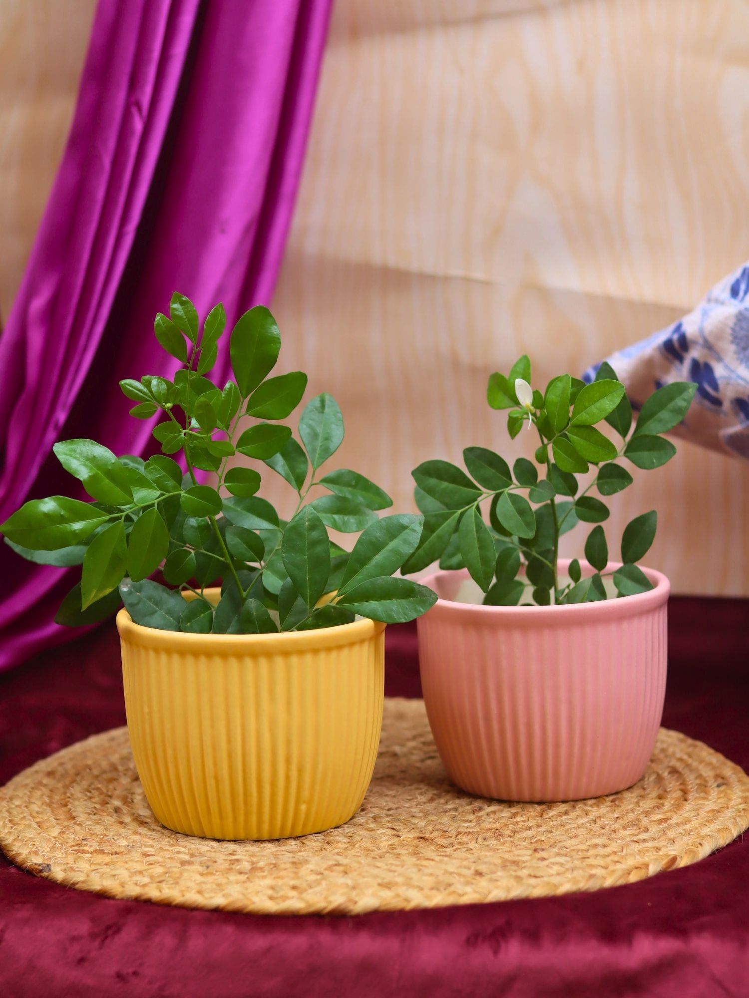 Set of 2 - Mellow Pink & Sunshine Yellow Planters combo handmade in india