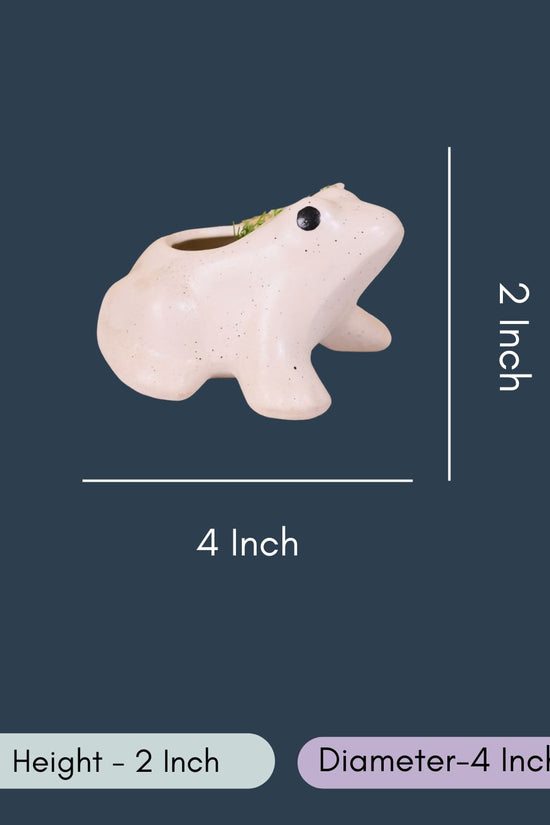 Frog Succulent Planter