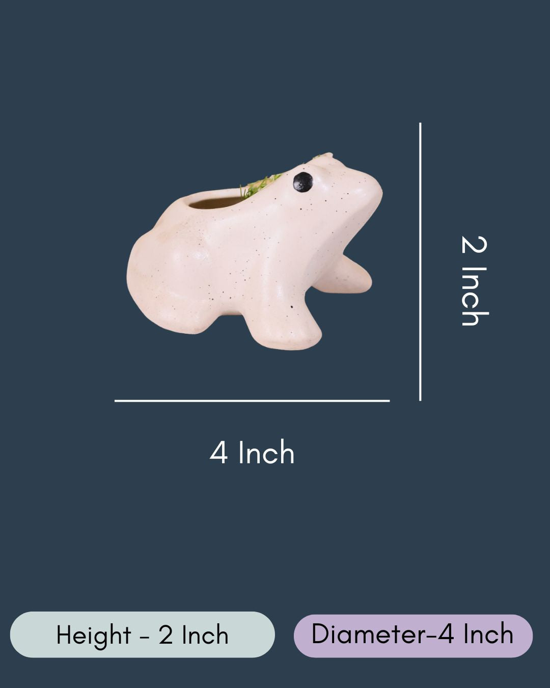 Frog Succulent Planter