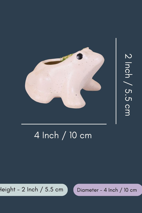 Frog Succulent Planter