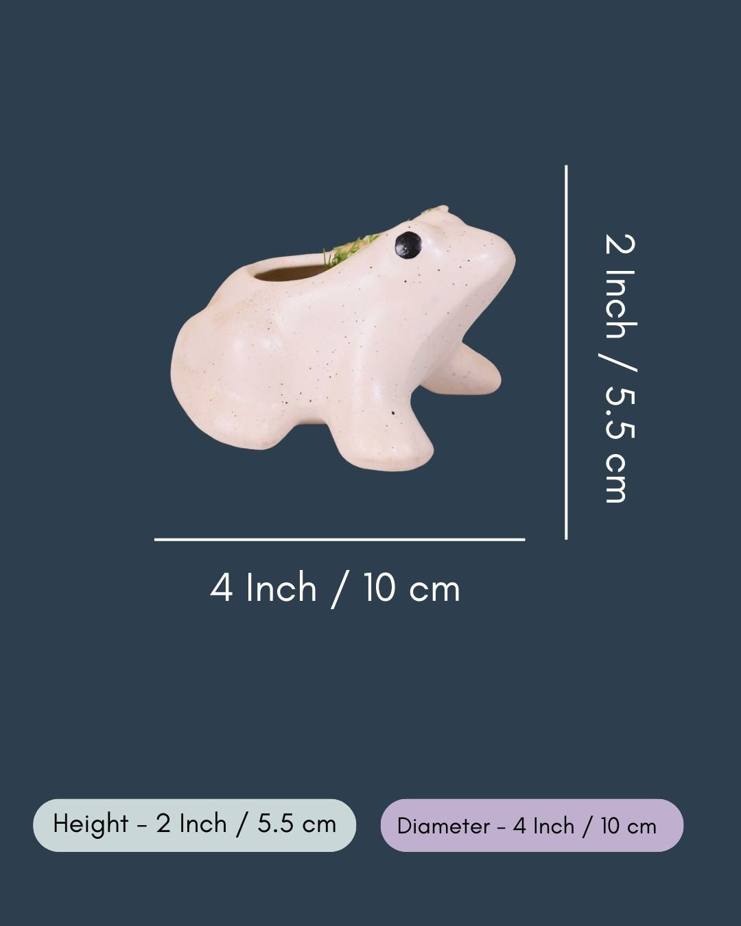 Frog Succulent Planter