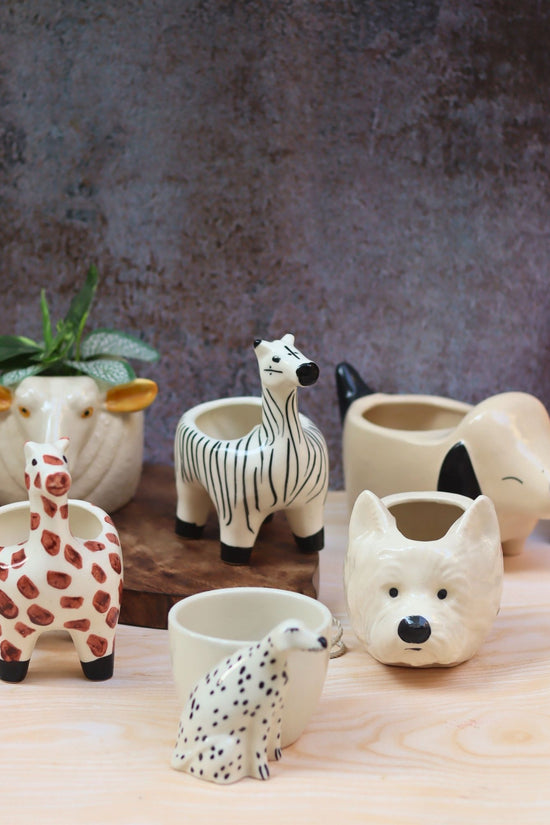 Set of 6 Pinteresty Animals Planters (for the price of 5)
