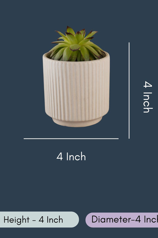 Ribbed White Planter