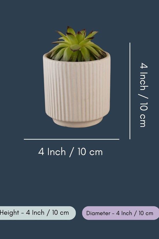 Ribbed White Planter
