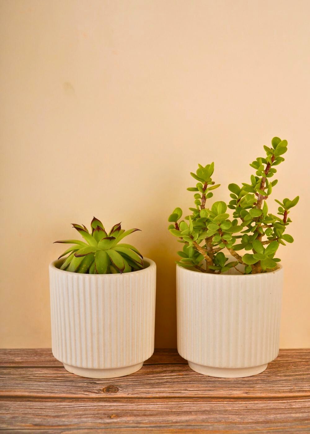 handmade ribbed white planter