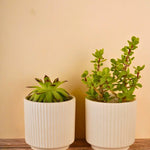 handmade ribbed white planter