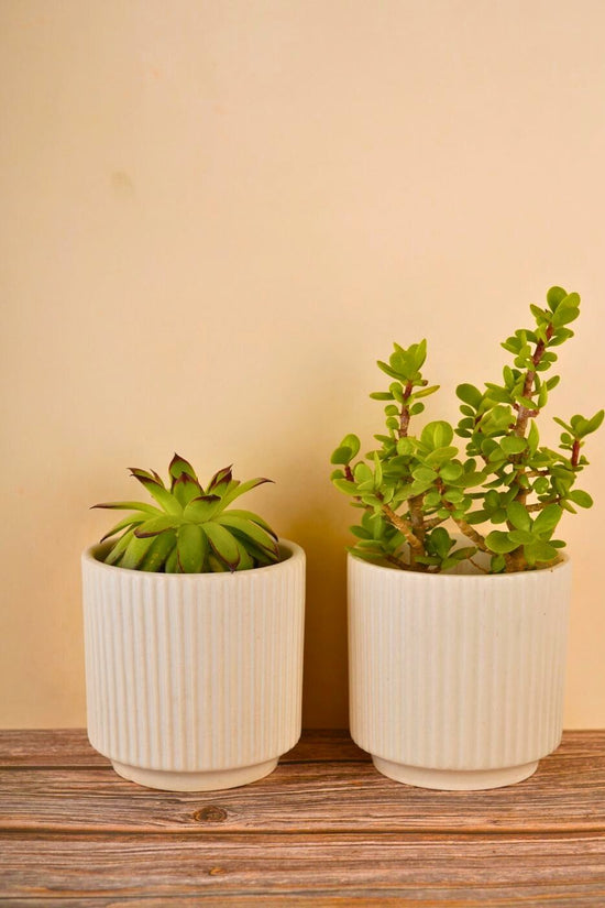 handmade ribbed white planter