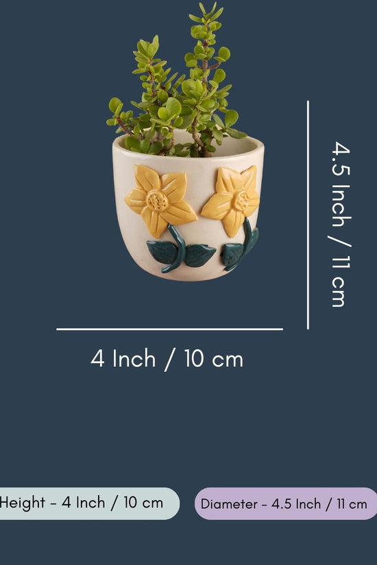 Daisy Bloom Planter