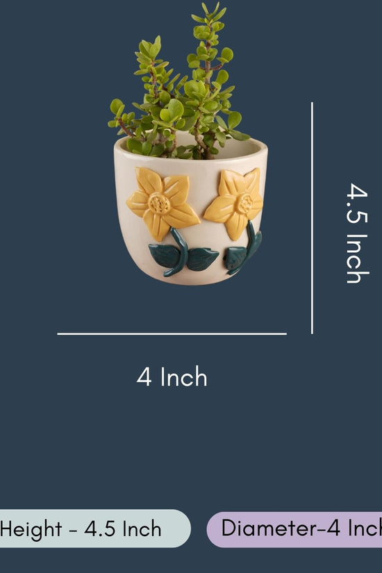 Daisy Bloom Planter
