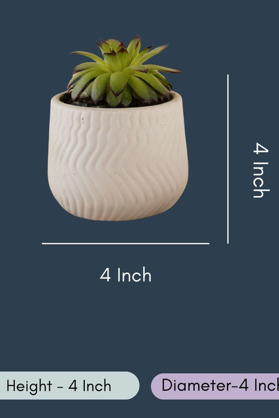 Essential White Planter