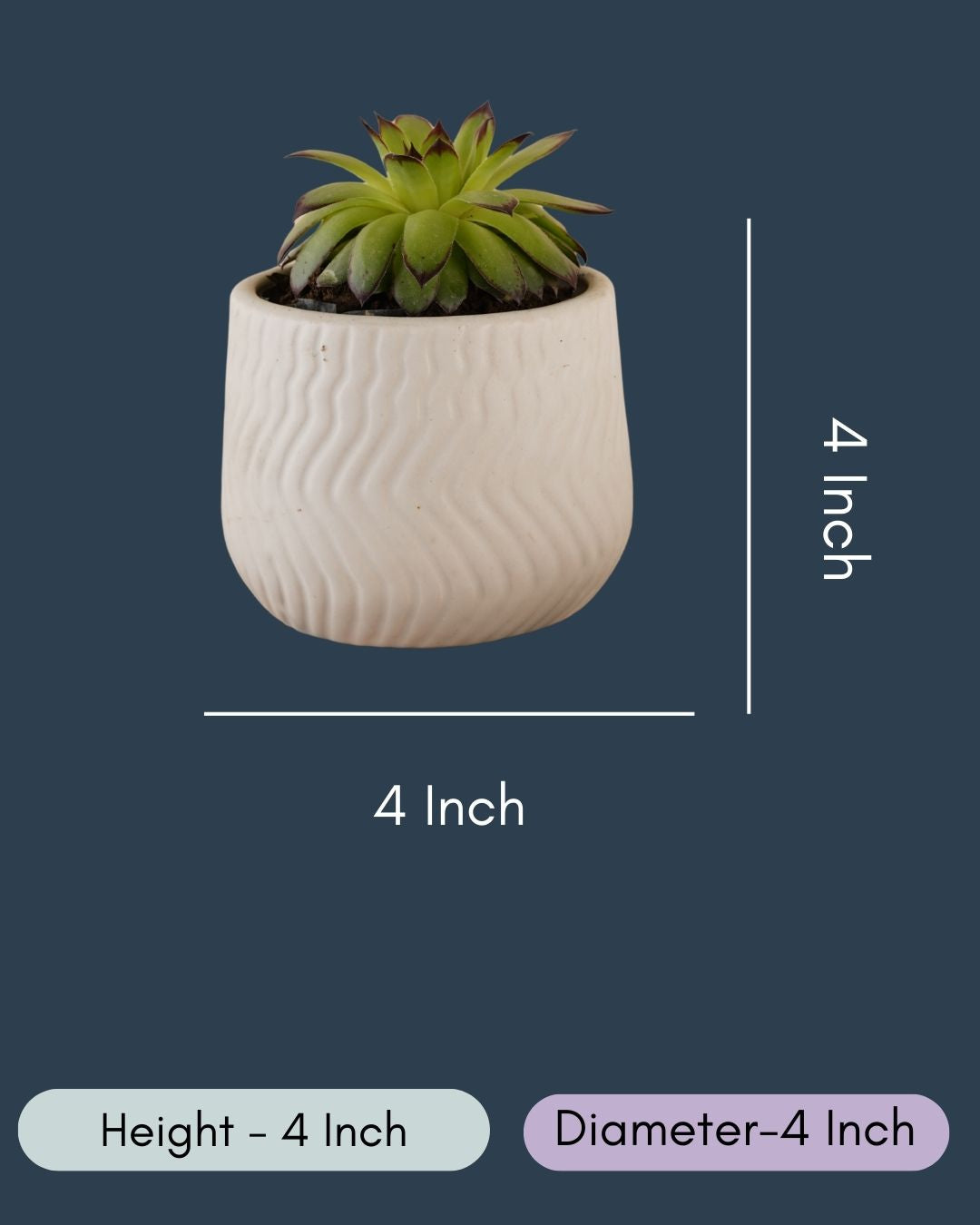 Essential White Planter