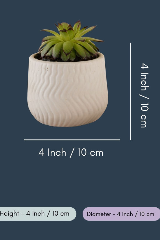 Essential White Planter