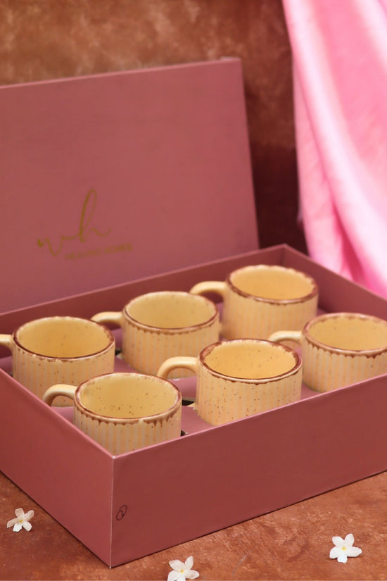 Set of 6 - Ivory Bliss Tea Cups in a gift box handmade in India