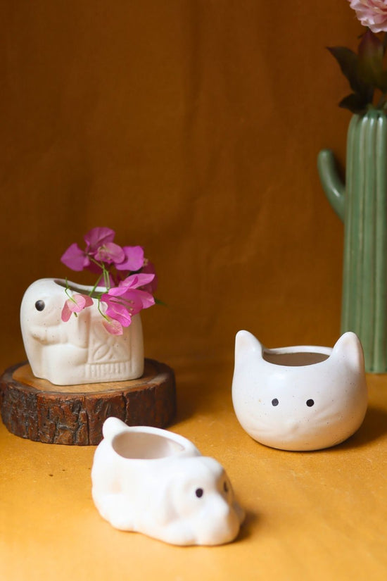 Set of 3 - Happy Tails Planters with premium quality material