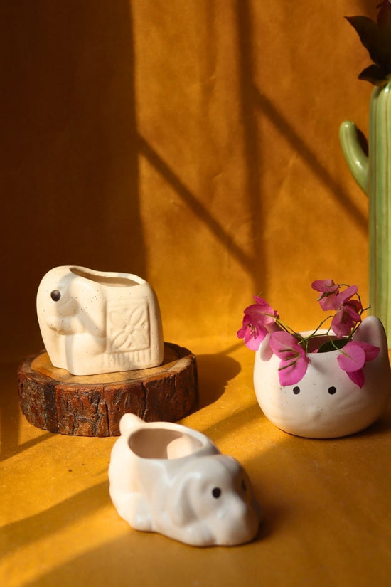 Set of 3 - Happy Tails Planters handmade in India