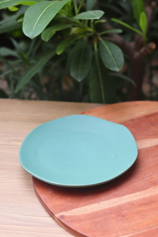 misfit plate made by ceramic