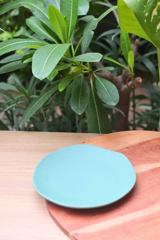 misfit plate for your delicious beverage
