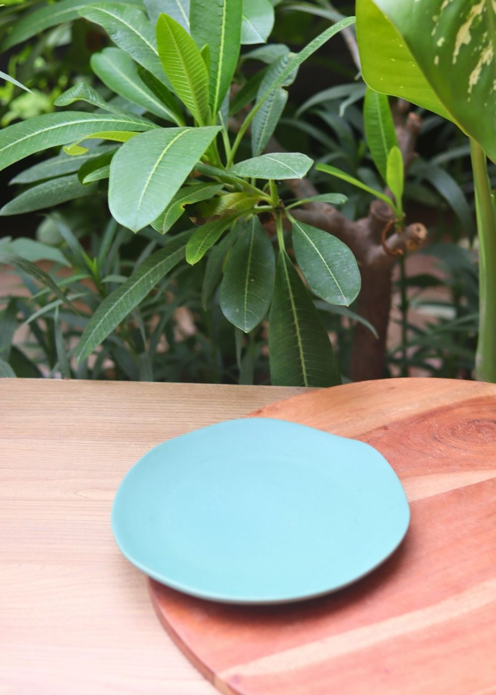 misfit plate for your delicious beverage