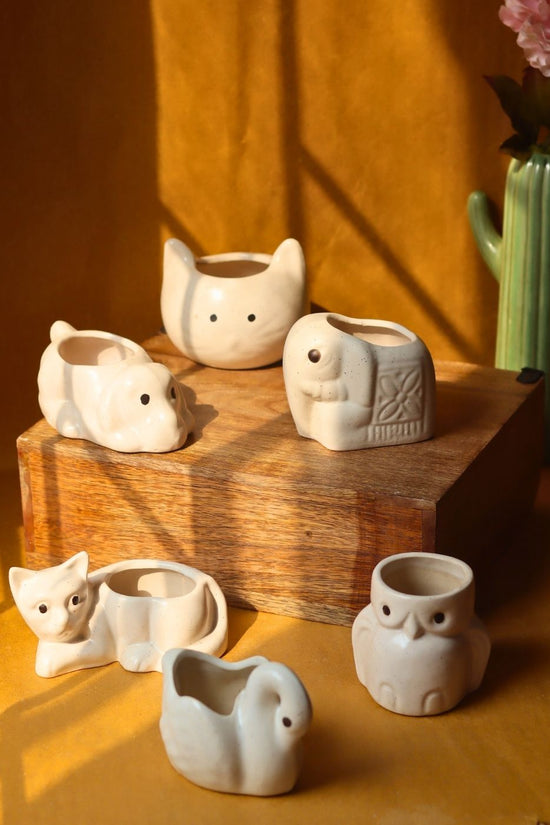 Set of 6 - Tiny Paws Planters (for the price of 5) made by ceramic