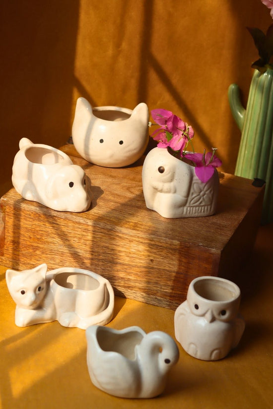 Set of 6 - Tiny Paws Planters (for the price of 5) with premium quality material