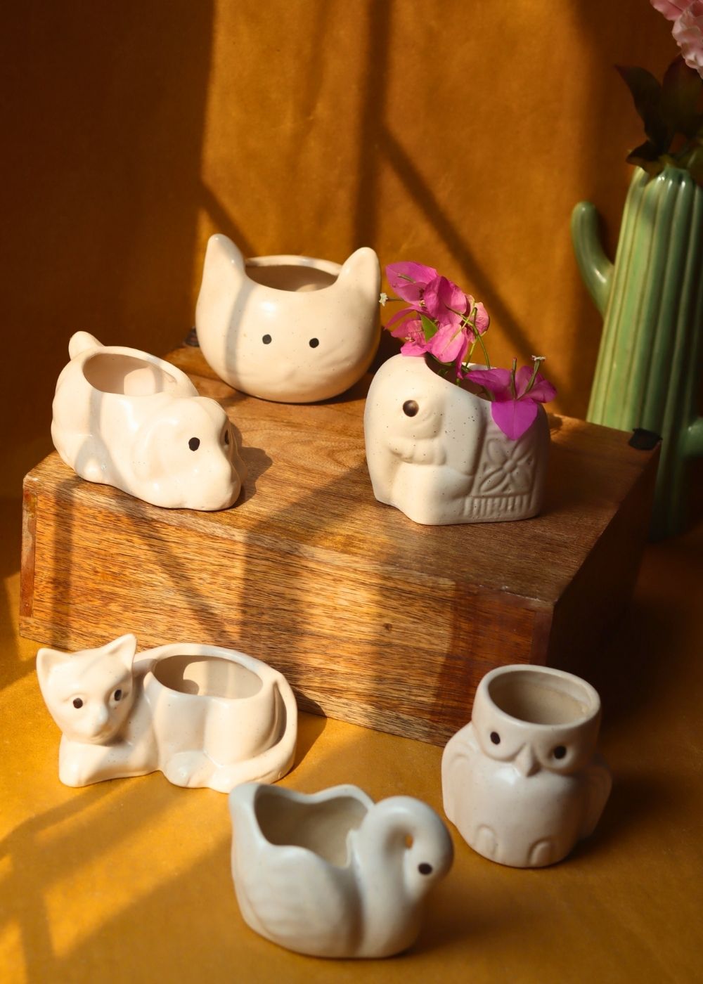 Set of 6 - Tiny Paws Planters (for the price of 5) with premium quality material
