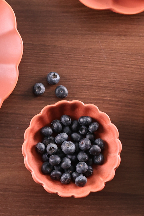 Gulaab ceramic ice cream bowl 